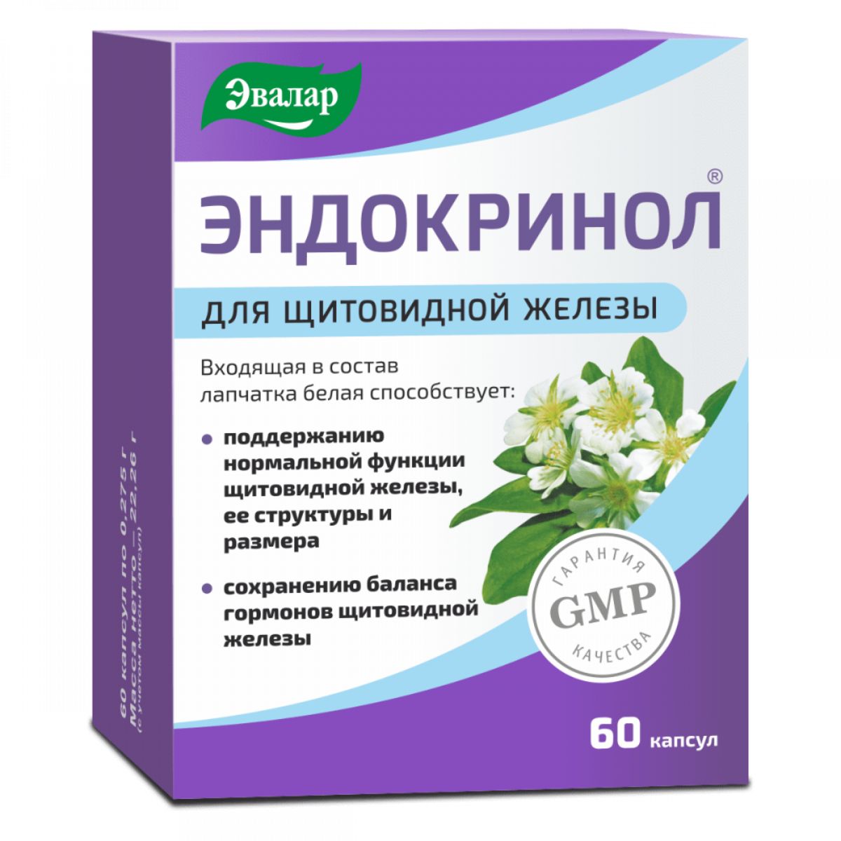 Monos Эндокринол №60
